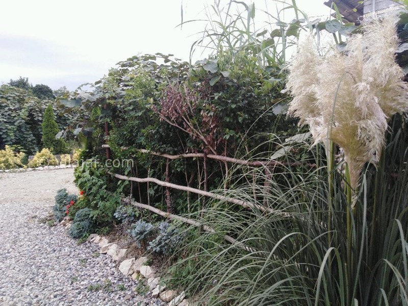 عکس شماره 567186 - خانه سنتی با استخر نیاسته رامسر - 