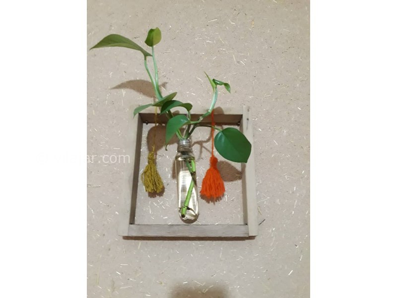 عکس شماره 567210 - اجاره خانه قدیمی نزدیک الموت - 