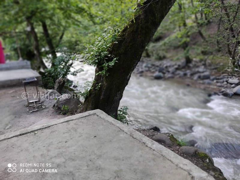 عکس شماره 567395 - اجاره ویلا در تالش - 