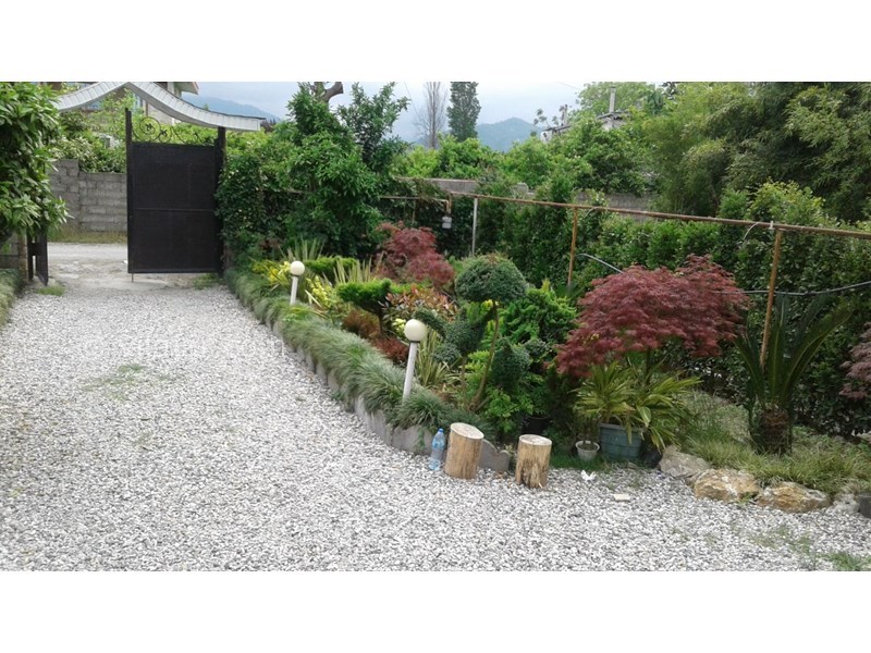 عکس شماره 567698 - ویلا جنگلی با استخر و برکه رامسر - 