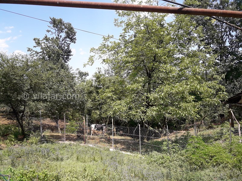 عکس شماره 568085 - اجاره خانه روستایی در ییلاقات ماسال -