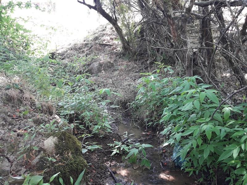 عکس شماره 568089 - اجاره خانه روستایی در ییلاقات ماسال -