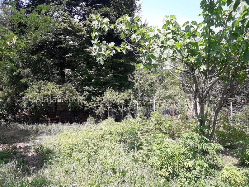 عکس شماره 568091 - اجاره خانه روستایی در ییلاقات ماسال -