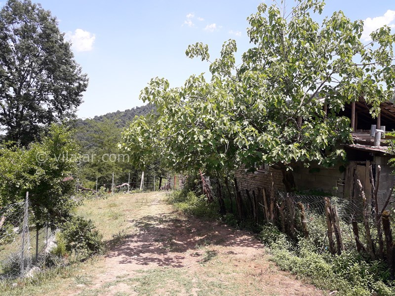 عکس شماره 568098 - اجاره خانه روستایی در ییلاقات ماسال -