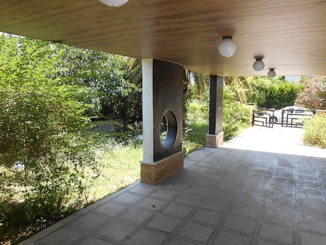 عکس شماره 56869 - اجاره ویلا در دریاکنار - 