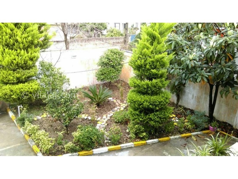 عکس شماره 568918 - اجاره ویلا در نوشهر - 