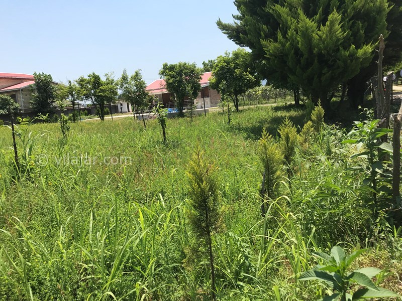 عکس شماره 569652 - ویلای اجاره ای در تالش اسالم - 