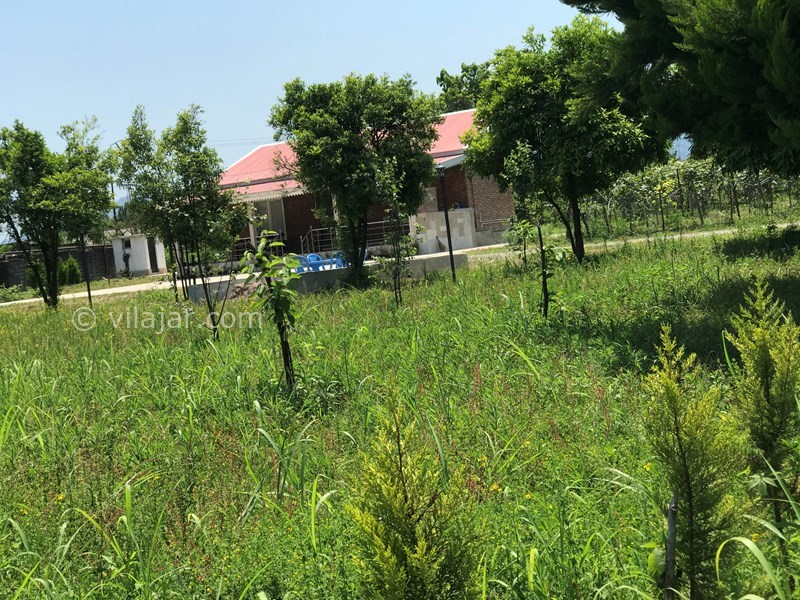 عکس شماره 569657 - ویلای اجاره ای در تالش اسالم - 