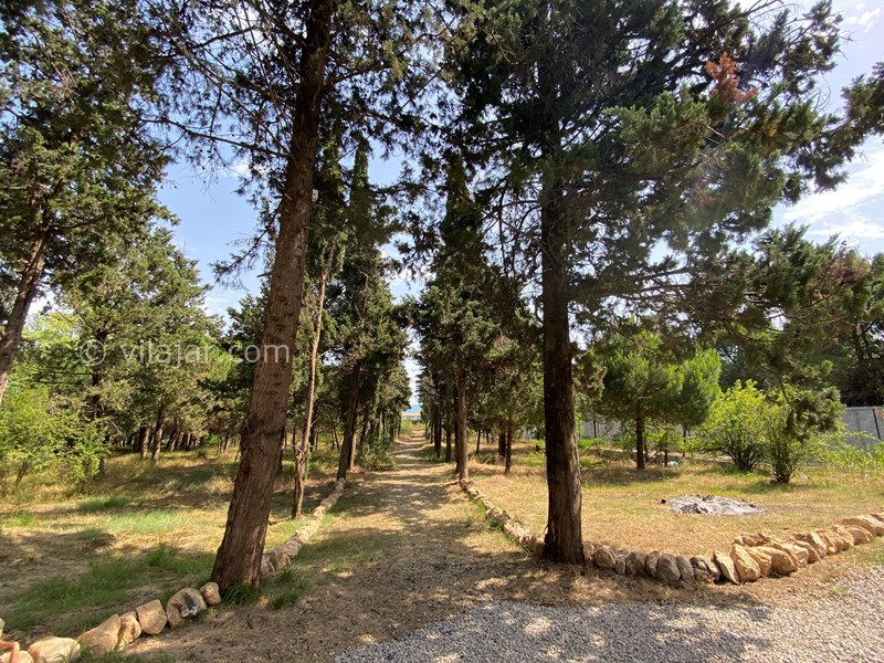 عکس شماره 570264 - اجاره ویلا استخردار در رامسر - 