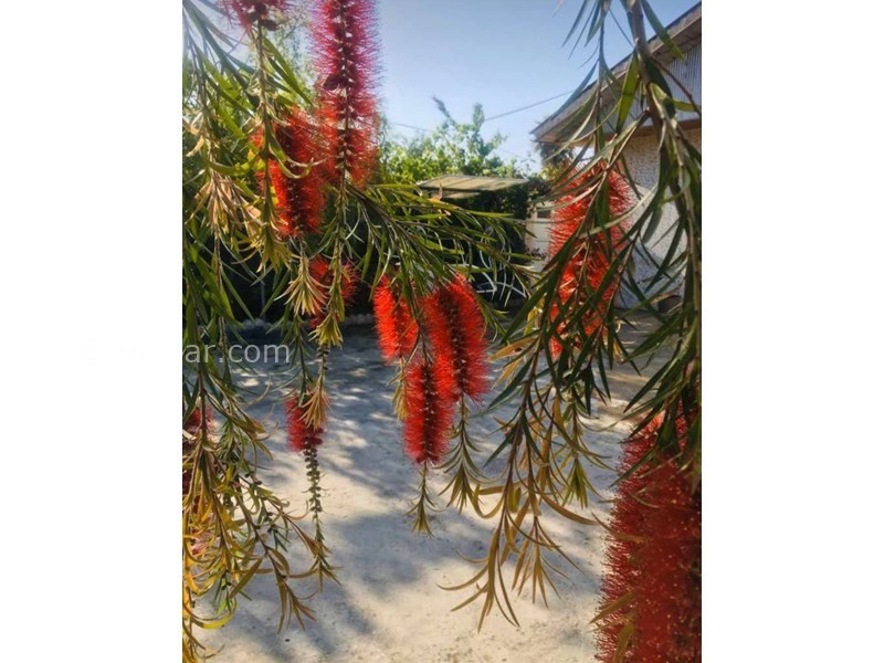 عکس شماره 570576 - ویلا نزدیک منطقه آزاد انزلی - 