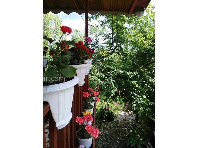 عکس شماره 570755 - اجاره خانه ی روستایی ماسال - 