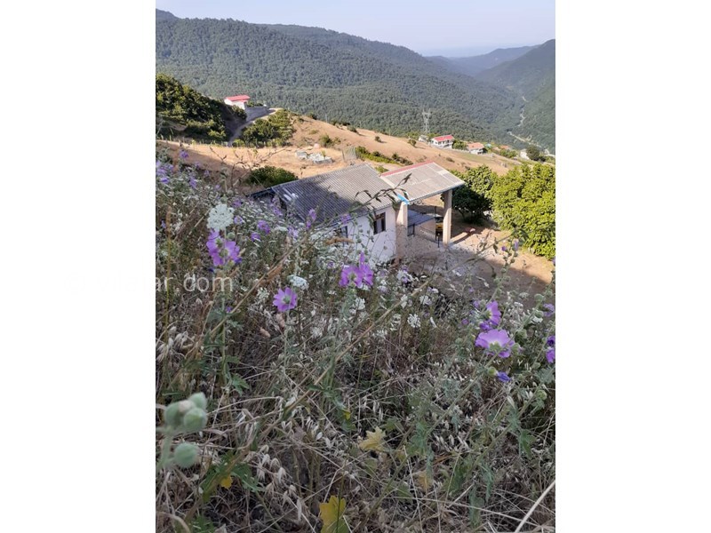 عکس شماره 571561 - اجاره ویلا در گردنه حیران - 