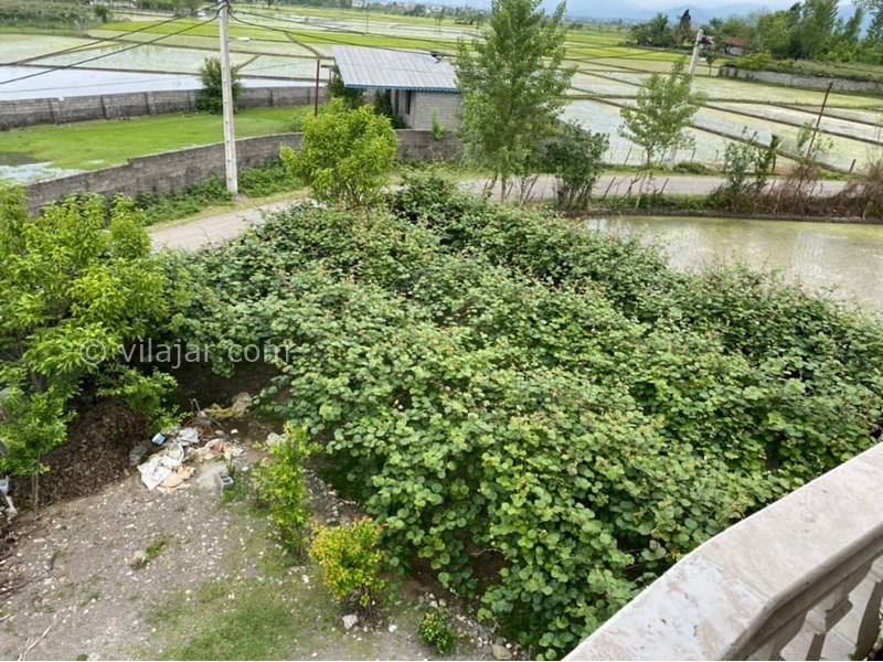 عکس شماره 571606 - اجاره ویلا در تالش - 