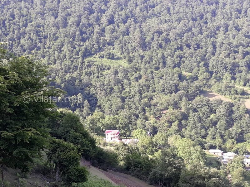 عکس شماره 571901 - اجاره ویلا ییلاقی در تالش - 