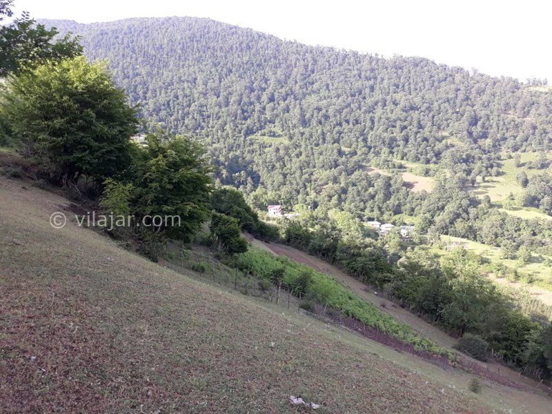 عکس شماره 571903 - اجاره ویلا ییلاقی در تالش - 