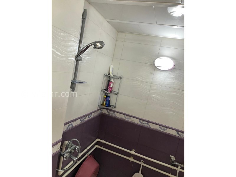 عکس شماره 572051 - اجاره ویلا در جنگل دالخانی - 