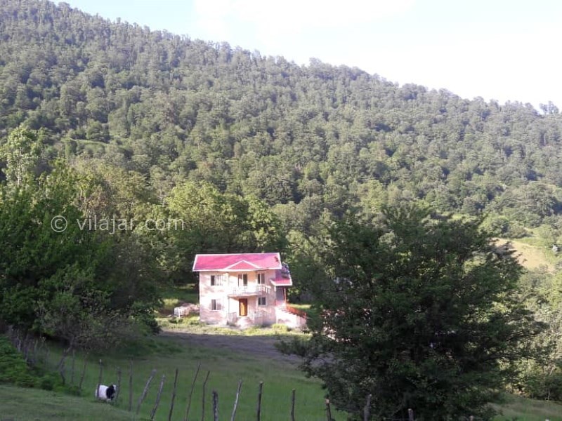 عکس شماره 572817 - اجاره ویلا ییلاقی در تالش - 