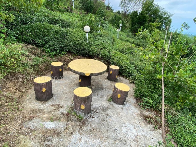 عکس شماره 575645 - اجاره ویلا در جاده جنگلی دالیخانی - 