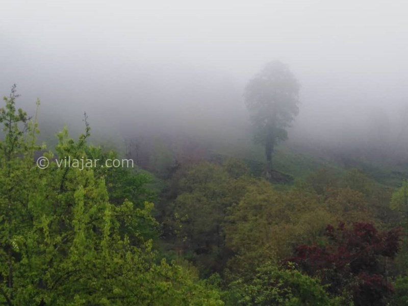 عکس شماره 576456 - اجاره واحد جنگلی در فومن - 