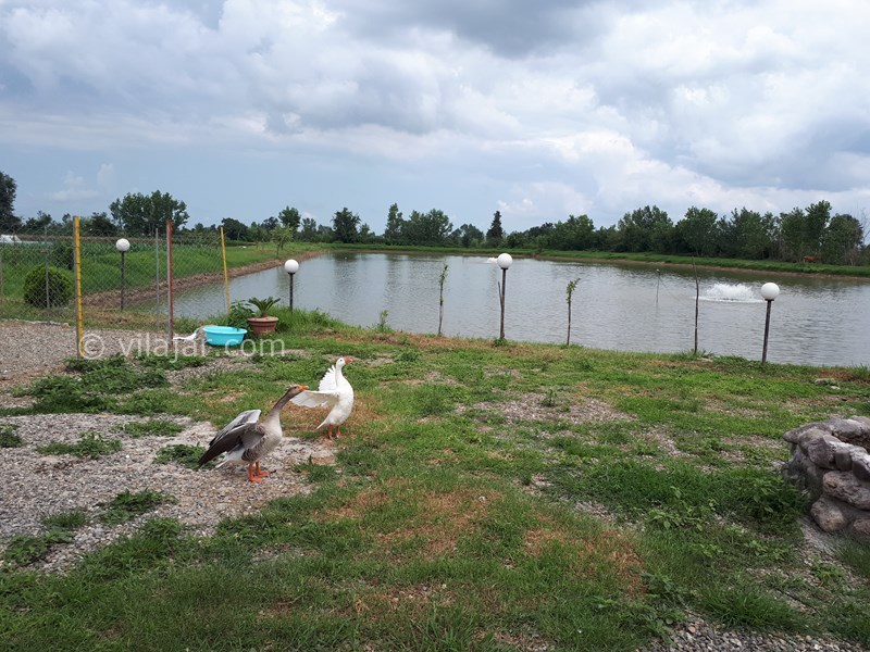 عکس شماره 576578 - اجاره ویلای روستایی در رشت - 