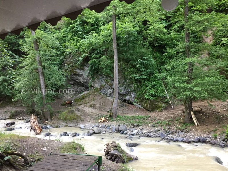 عکس شماره 576923 - ویلای چوبی در جاده اسالم - 