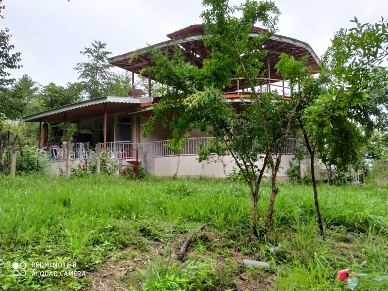 عکس شماره 577177 - اجاره ویلا ماسال با چشمه اختصاصی - 