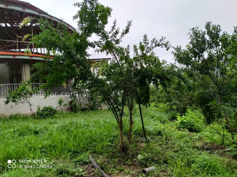 عکس شماره 577178 - اجاره ویلا ماسال با چشمه اختصاصی - 