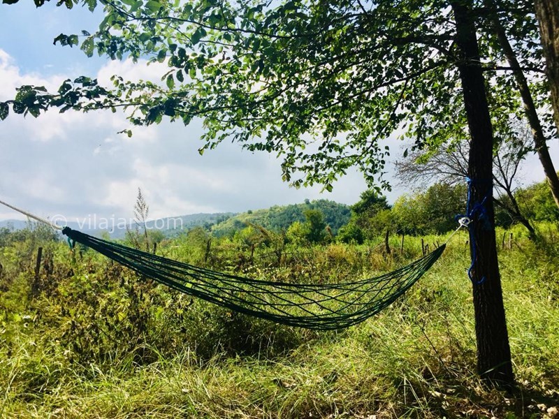 عکس شماره 577408 - اجاره کلبه چوبی جنگلی در شاندرمن -