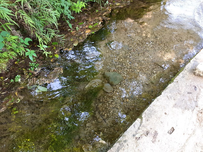 عکس شماره 577874 - اجاره ویلا ماسال با چشمه اختصاصی - چشمه اختصاصی با فاصله ۲۰ متری 