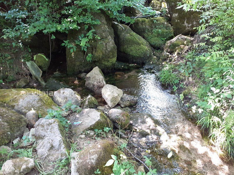 عکس شماره 577876 - اجاره ویلا ماسال با چشمه اختصاصی - سرازیر شدن آب از زیر سنگ در حیاط ویلا