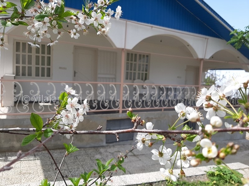 عکس شماره 578185 - اجاره ویلا در فیلبند - 