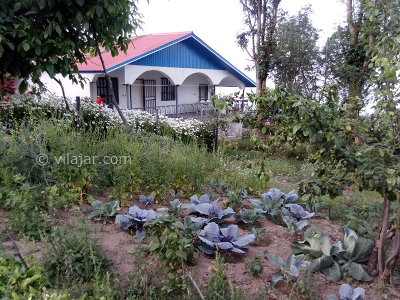 عکس شماره 578186 - اجاره ویلا در فیلبند - 