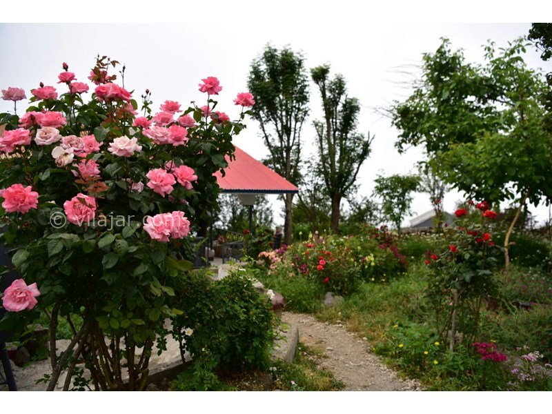 عکس شماره 578189 - اجاره ویلا در فیلبند - 