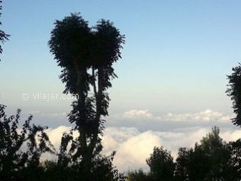 عکس شماره 578190 - اجاره ویلا در فیلبند - 