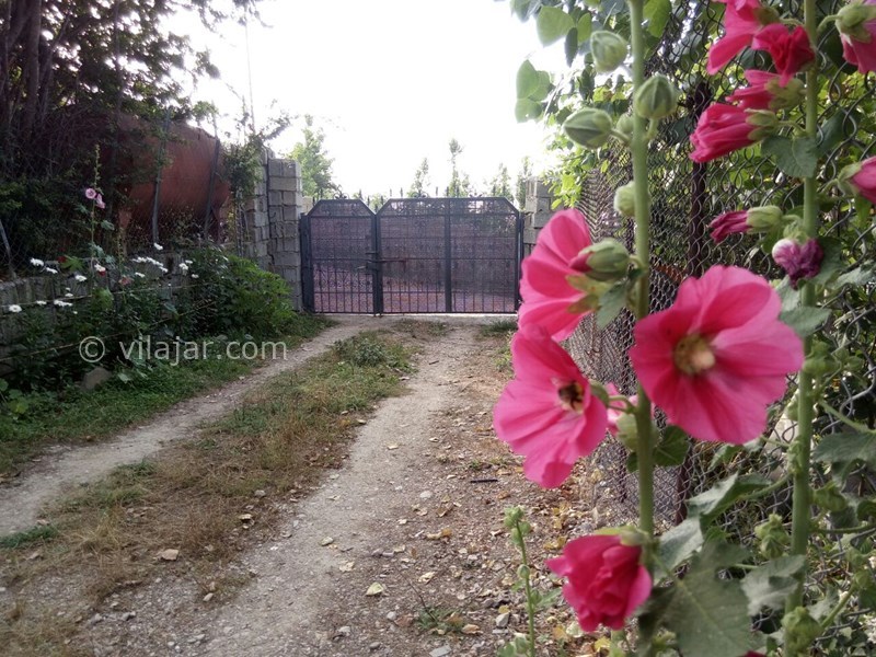 عکس شماره 578201 - اجاره ویلا در فیلبند - 