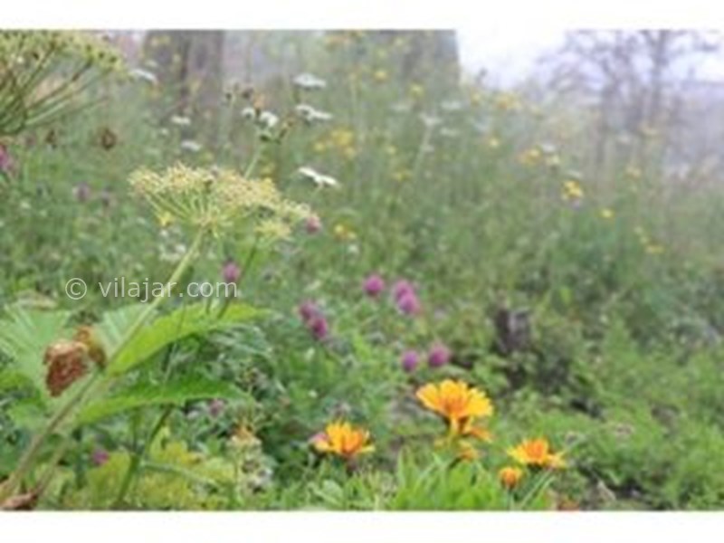 عکس شماره 578206 - اجاره ویلا در فیلبند - 