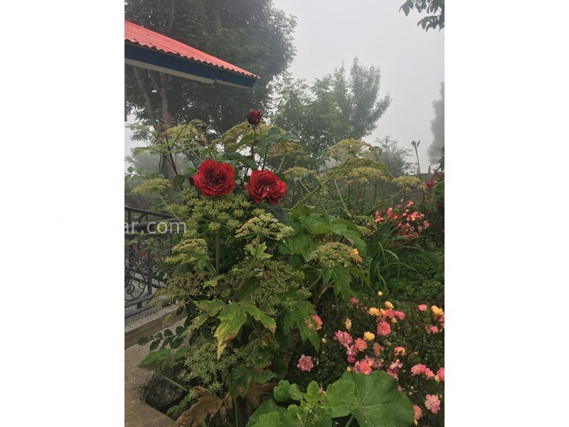 عکس شماره 578211 - اجاره ویلا در فیلبند - 