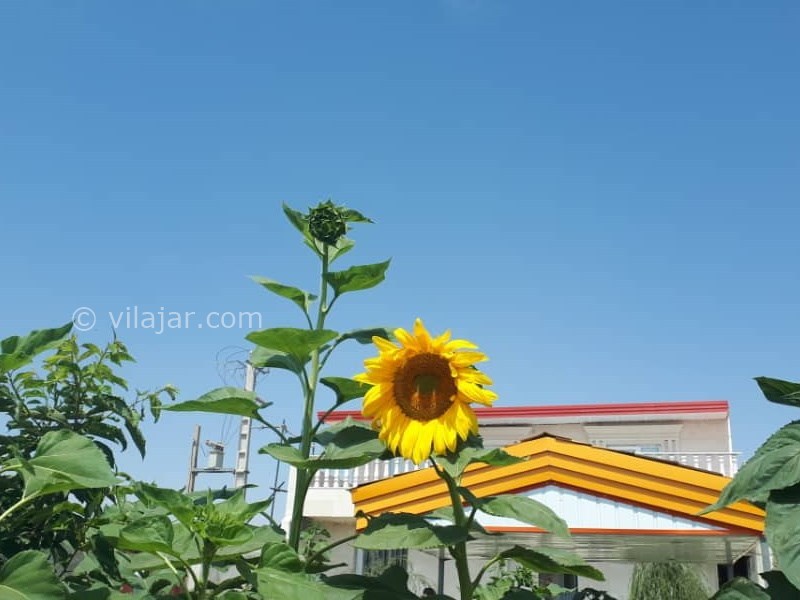 عکس شماره 579082 - اجاره ویلا استخردار در همدان - 