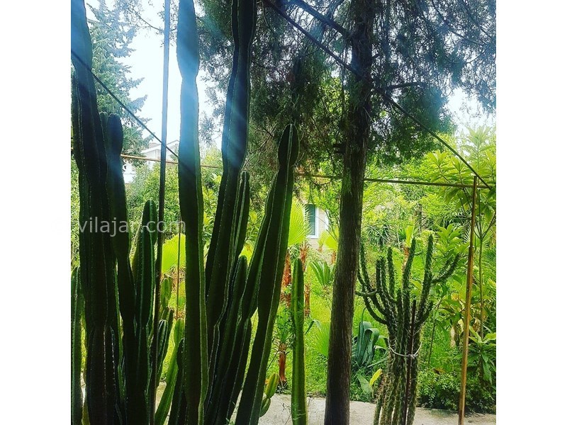 عکس شماره 579217 - اجاره ویلا باغ استخردار سرخرود - 