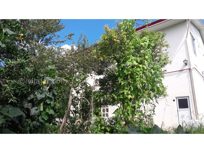 عکس شماره 580259 - اجاره ویلا دوبلکس در شاندرمن - 