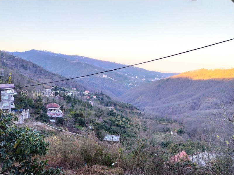 عکس شماره 581663 - اجاره ویلا در جنگل دالخانی رامسر - 