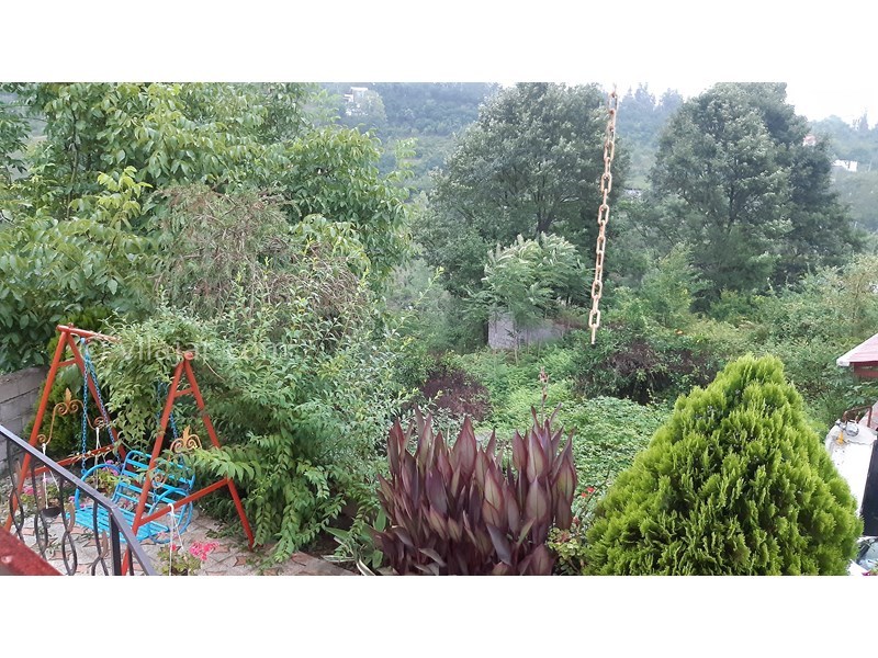 عکس شماره 581911 - اجاره ویلا جنگلی در اربکله رامسر - 