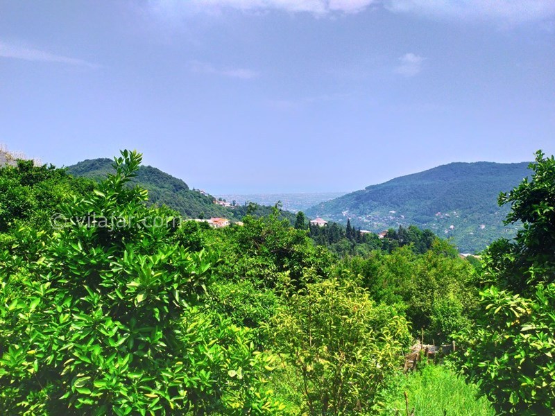 عکس شماره 582017 - اجاره خانه روستایی در جنگل دالخانی - 