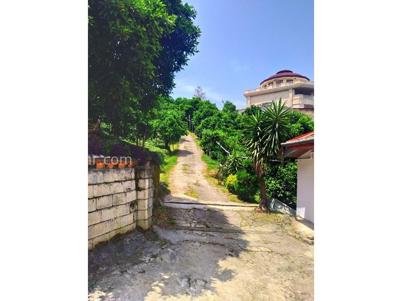 عکس شماره 582019 - اجاره خانه روستایی در جنگل دالخانی - 