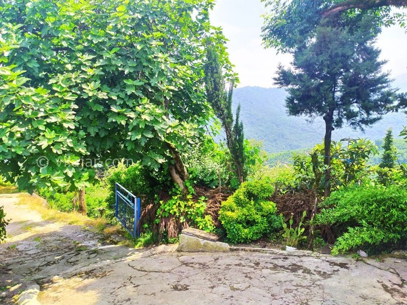 عکس شماره 582020 - اجاره خانه روستایی در جنگل دالخانی - 