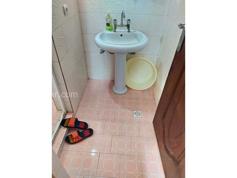 عکس شماره 582030 - اجاره خانه روستایی در جنگل دالخانی - 