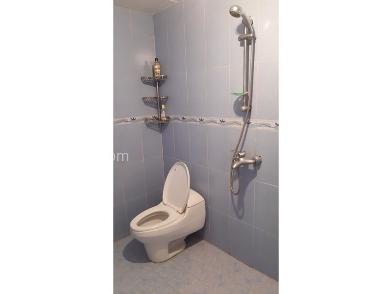 عکس شماره 582049 - اجاره ویلا جنگلی در اربکله رامسر - 