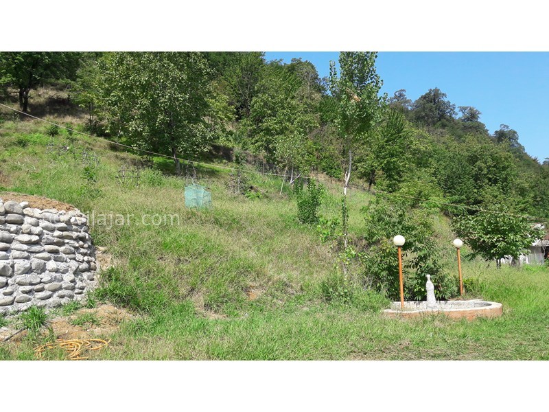 عکس شماره 582106 - اجاره ویلا در تالش نزدیک دریا - 