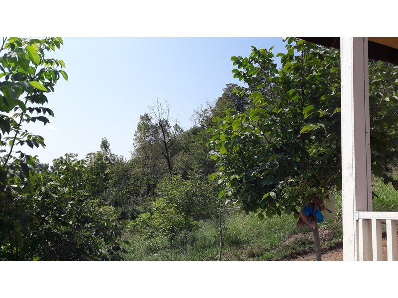 عکس شماره 582111 - اجاره ویلا در تالش نزدیک دریا - 