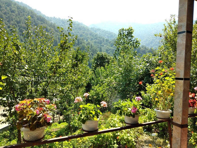 عکس شماره 583215 - اجاره ویلا در ماسال - 